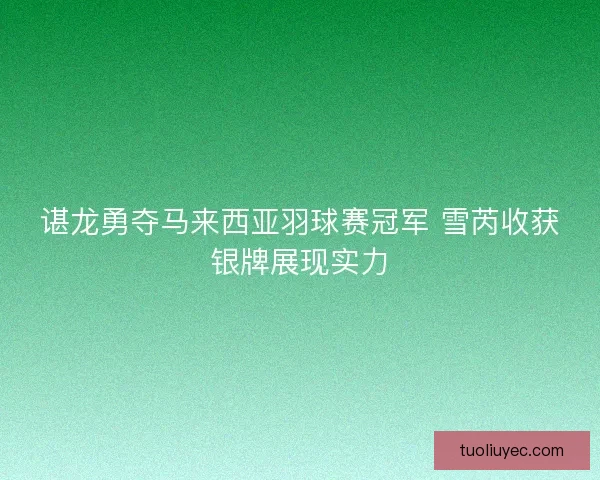 谌龙勇夺马来西亚羽球赛冠军 雪芮收获银牌展现实力